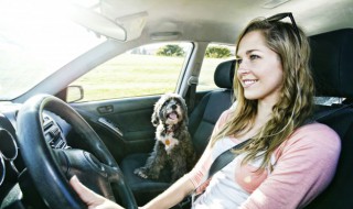 副驾驶怎么调座椅（汽车副驾驶怎么调座椅）