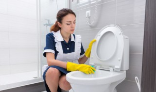 购买马桶垫的注意事项有哪些(买马桶垫需要注意什么)