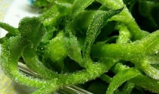 冰菜产地在中国哪里（冰菜产地是在哪里?）