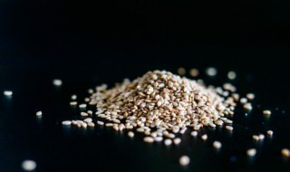 芝麻哪里多原产地在哪 芝麻的主产区在哪里