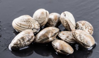 花甲产地在哪里(花甲出产在我国哪里)