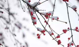 古人对雪的雅称（古人对雪的雅称诗词）