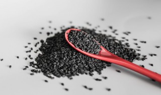 熟芝麻放冷藏还是冷冻（熟芝麻放冰箱冷冻行吗）