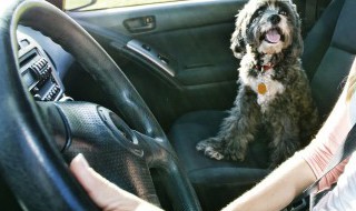 汽车空调有异味是什么原因（汽车空调出现异味）