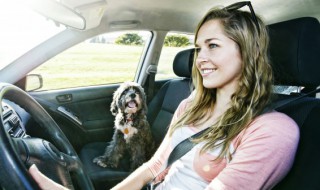 汽车分区空调是自动空调吗 汽车分区空调有用吗