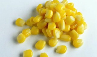 干玉米粒要煮多久才熟(干玉米粒煮多久可以煮熟)