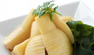 竹笋的产地在哪里竹笋如何食用（特产竹笋在哪）