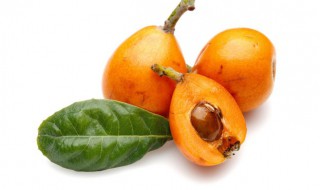 枇杷在北方可以种植吗 枇杷果北方可以种植吗