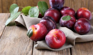 送李子代表什么意思 送李子的寓意是什么意思