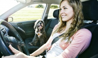 汽车空调外循环进风口在哪个位置（汽车空调外循环进风口在哪个位置图片）