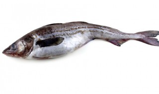 黑龙江有什么特产（黑龙江有什么特产送人）