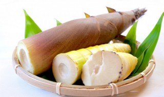 笋怎么保存时间长 野竹笋怎么保存时间长