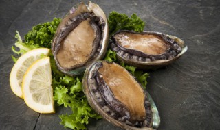 鲜鲍鱼要煮多长时间（鲜鲍鱼要煮多长时间熟）