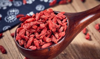 枸杞和黄芪能长期喝吗 喝黄芪枸杞子能长期喝吗