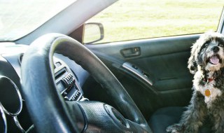 汽车保养有哪些项目 汽车保养包括哪些内容