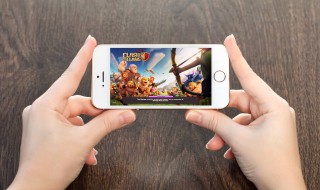 三国无双8怎么抓老虎（三国无双8抓动物）