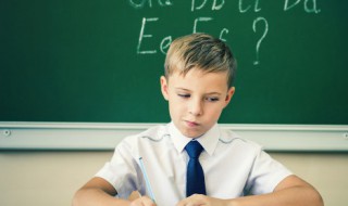 铁树开出太阳花什么意思 铁树开出太阳花是什么意思