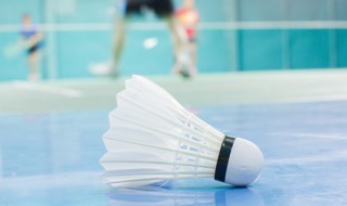 如何提高羽毛球击球力量（如何提高打羽毛球力度）