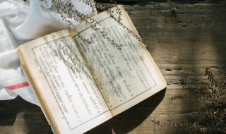 登鹤雀楼表达了什么思想感情（登鹤雀楼一诗描写了诗人登上雀鹤楼后看到了什么）