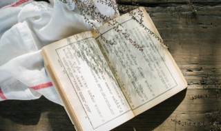 声声慢的作者是谁是哪个朝代的