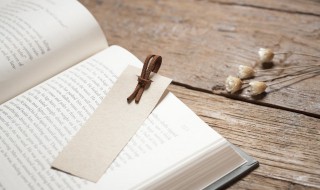 吉娃娃有几种颜色（吉娃娃犬有几种颜色）