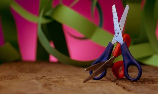 什么东西不怕布只怕石头 什么东西不怕布只怕石头是什么动物