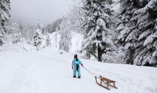 梦见雪什么意思 梦里梦见雪是什么意思