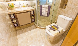 楼房卫生间有异味怎么办（楼房家里卫生间味道很大怎么办）