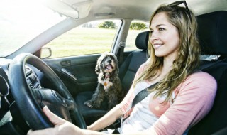 汽车导航黑屏有声音怎么回事（导航屏幕黑屏有声音怎么回事）