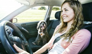 车载导航仪一体机音量怎么开(车载导航一体机怎么调音质)