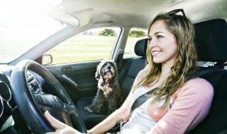 汽车底盘漆一定要喷吗（汽车需要喷底盘漆吗）