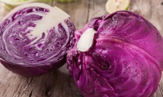 紫甘蓝是什么 紫甘蓝是什么样子的