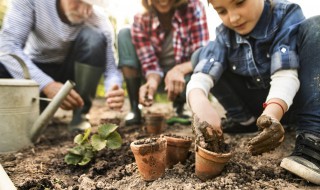 鹤顶红花在室内养可以吗 火鹤花能在室内养吗