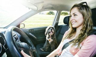 新车首次保养需要多长时间(首次汽车保养需要多久时间)