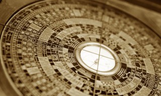 你还知道哪些天然的指南针(你还知道哪些天然的指南针画一画)