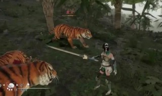 三国无双8如何捕获动物（三国无双8稀有动物位置）