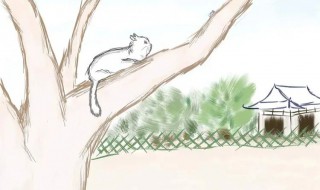 我是猫每章概括 我是猫每章概括300