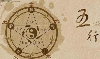 生辰八字五行（生辰八字五行属性查询）