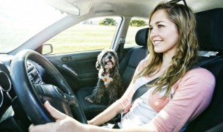 途昂冷车启动吱吱响怎么回事（途昂热车哒哒哒响冷车不响）