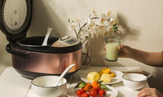 电饭煲使用注意事项有哪些（电饭煲开始用时有什么需要注意）