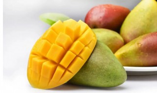 芒果怎么催熟芒果太硬怎么办 大芒果还是硬的怎么催熟
