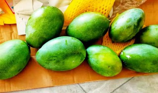 怎么催熟青芒果 请问青芒果怎么催熟