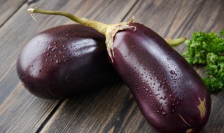 茄子可以和什么树嫁接（茄子用什么树嫁接最好）