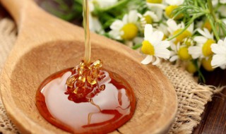 自家养的蜜蜂怎么取蜂蜜（自己怎么养蜂取蜜）