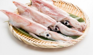 如何辨别墨鱼的好坏 怎样辨别墨鱼的好坏