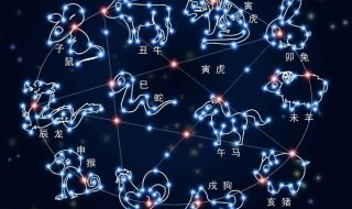 2月什么星座（2月1日什么星座）