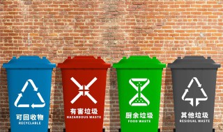 海蛎子壳属于什么垃圾（海蛎壳是属于什么垃圾）