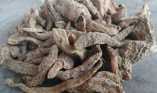 天麻具体的产地在哪里（天麻主产于哪里）