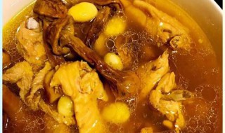 新鲜松茸炖鸡怎么炖才好吃(松茸炖鸡怎样炖)