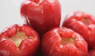 释迦和莲雾的关系（释迦和莲雾有什么关系）